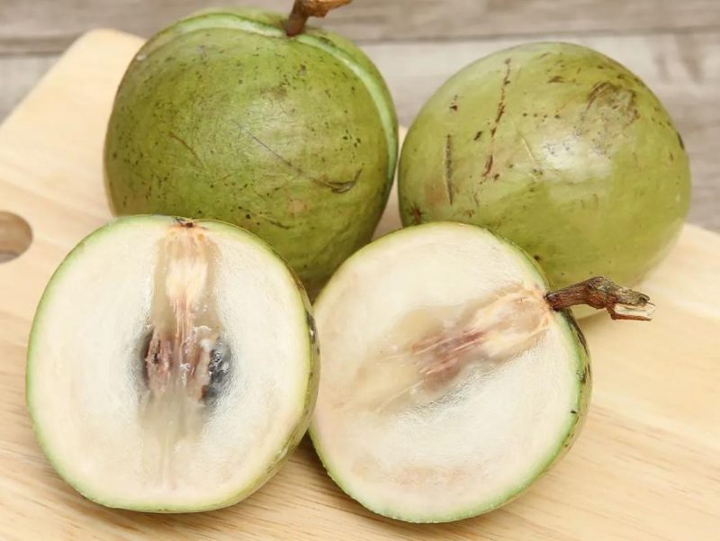Vú sữa Lò Rèn